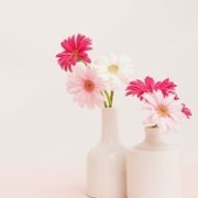 专访: 宿迁市沭阳县电子竞技协会领军人封小春