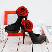 迷你刺猬如何分辨公母?