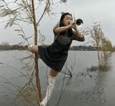 230_212gif 动态图 动图