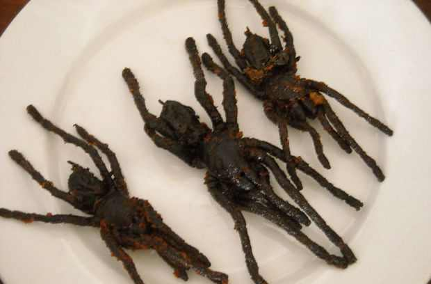 柬埔寨 在柬埔寨,油炸蜘蛛(fried tarantulas)是非常受欢迎的小吃