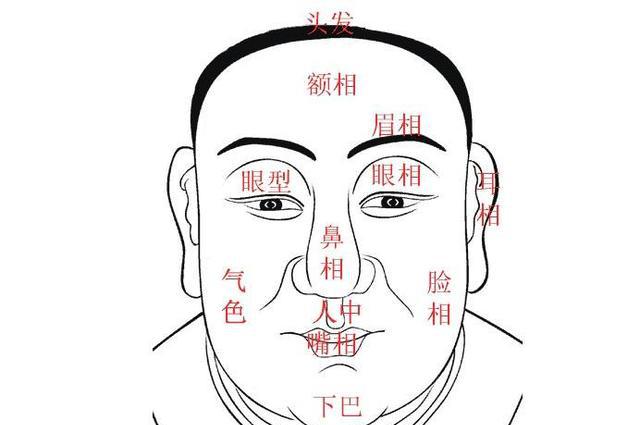 有这几类"额头"的人,必住豪宅,富得流油|面相|额头|造化_新浪新闻