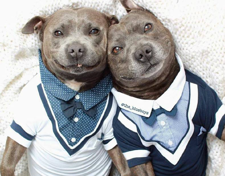 我不认识旁边这货,谁来带走他