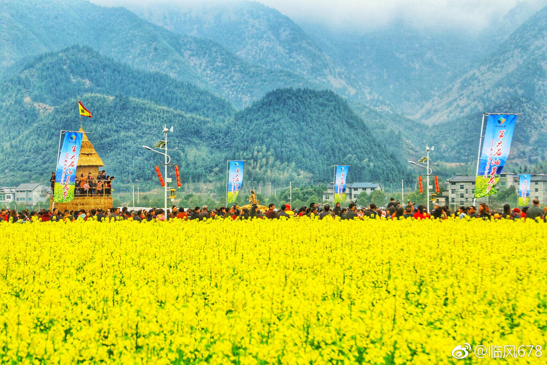 3月18日,位于浙西开化的杨林镇杨林村高畈春意盎然