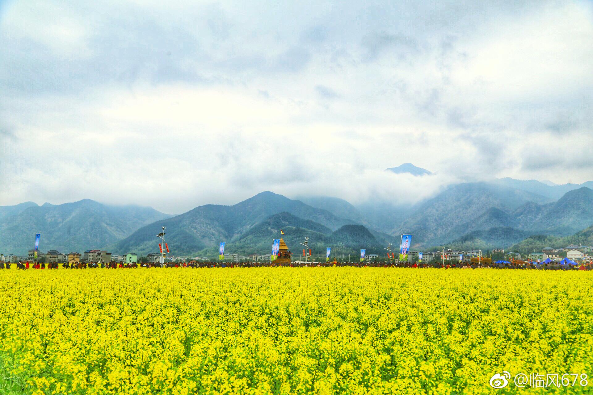 3月18日,位于浙西开化的杨林镇杨林村高畈春意盎然