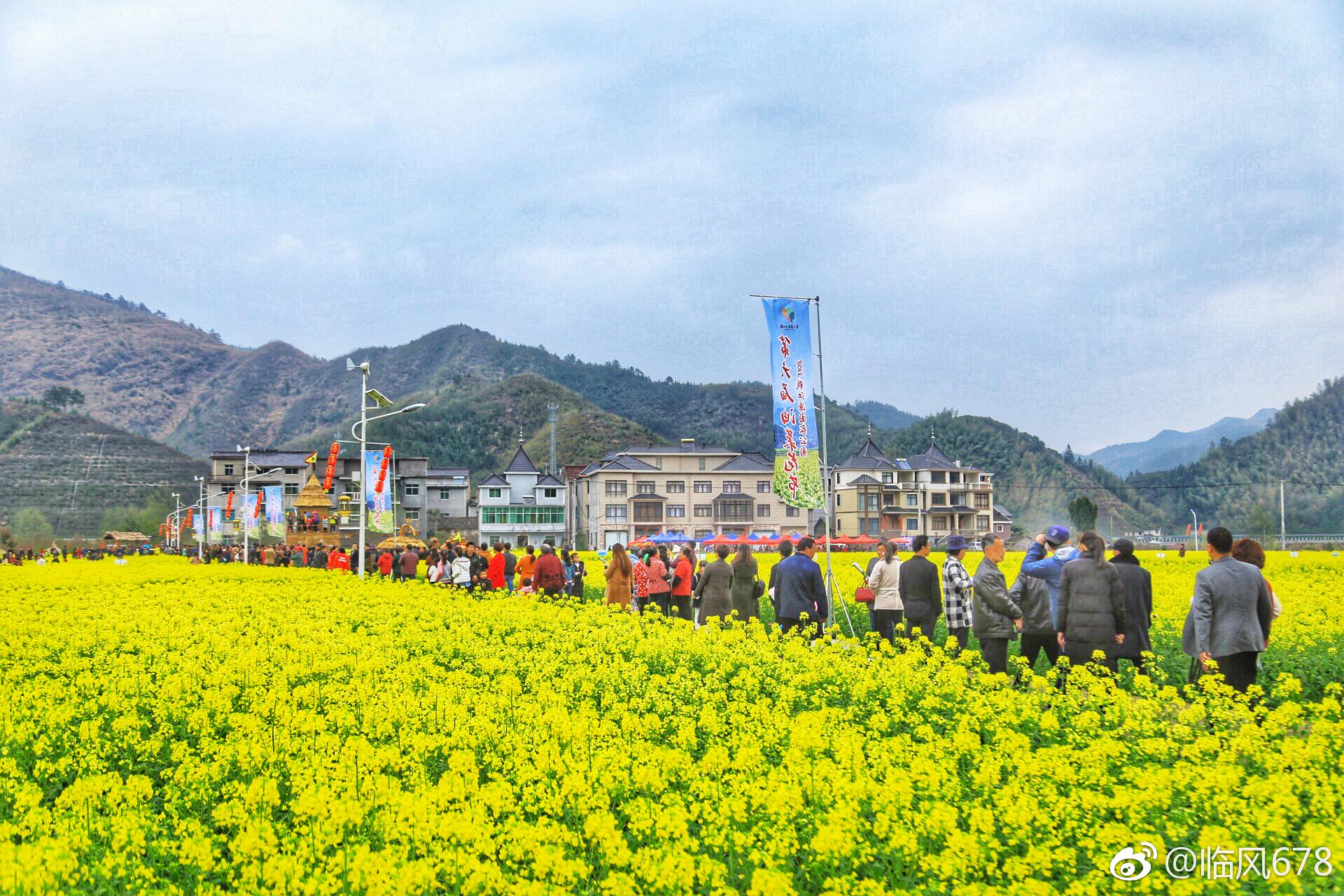 3月18日,位于浙西开化的杨林镇杨林村高畈春意盎然