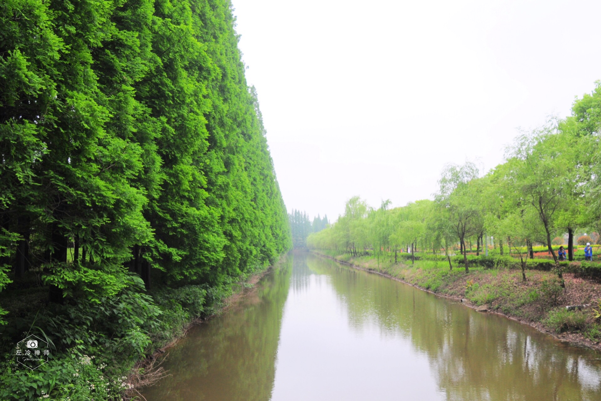 水清林茂东风滩,天然氧吧核心岛的金岛生态园位于如皋长青沙旅游度假