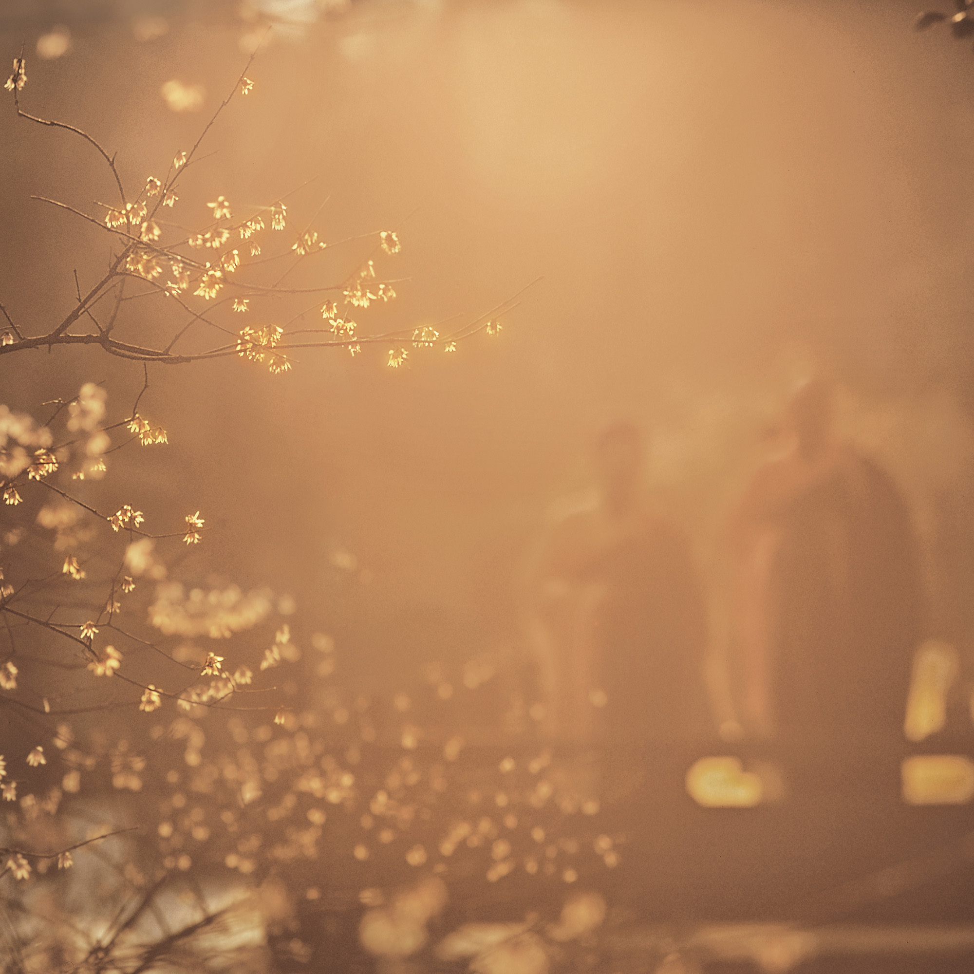 由张望禅意摄影学院主办,新浪爱拍协办,面向国内外所有摄影爱好者征集