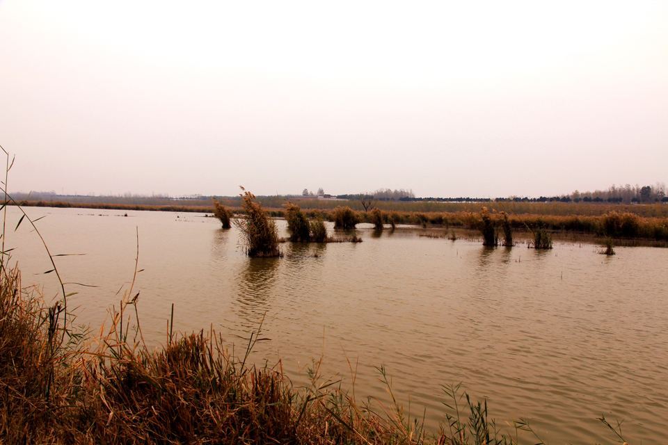 河南封丘 春秋时期吴王会盟地古黄池遗址