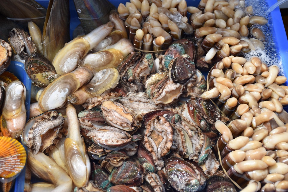 去海南吃海鲜一定要去对地方这两个渔港的海鲜种类多还不宰客