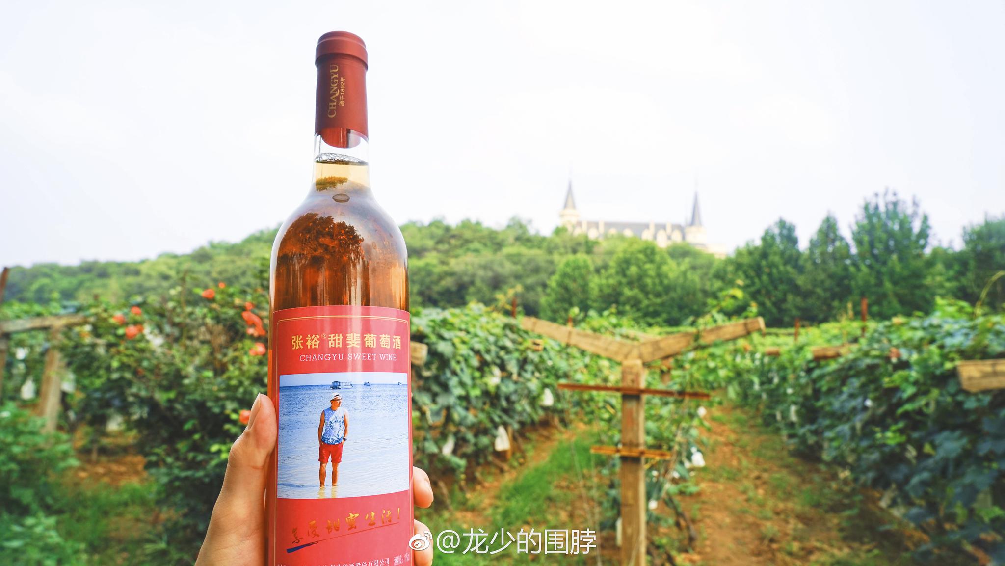 在葡萄成熟的季节造访了@张裕爱斐堡酒庄官方微博