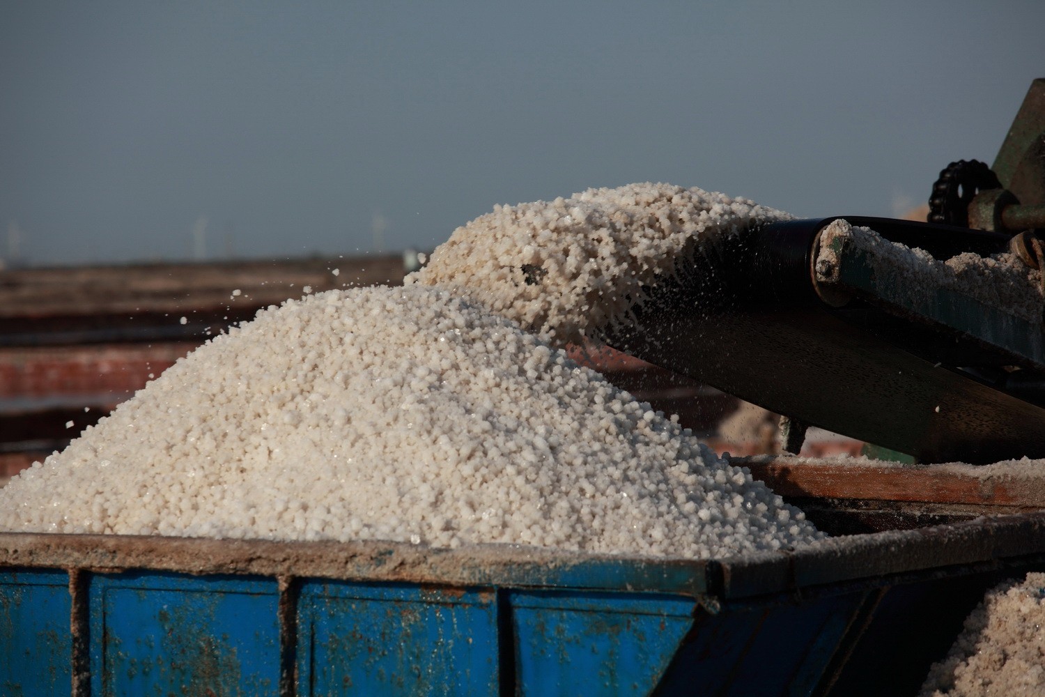 在古代贩卖这样东西可是风险与收益并存,而现在却很常见|私盐|官营