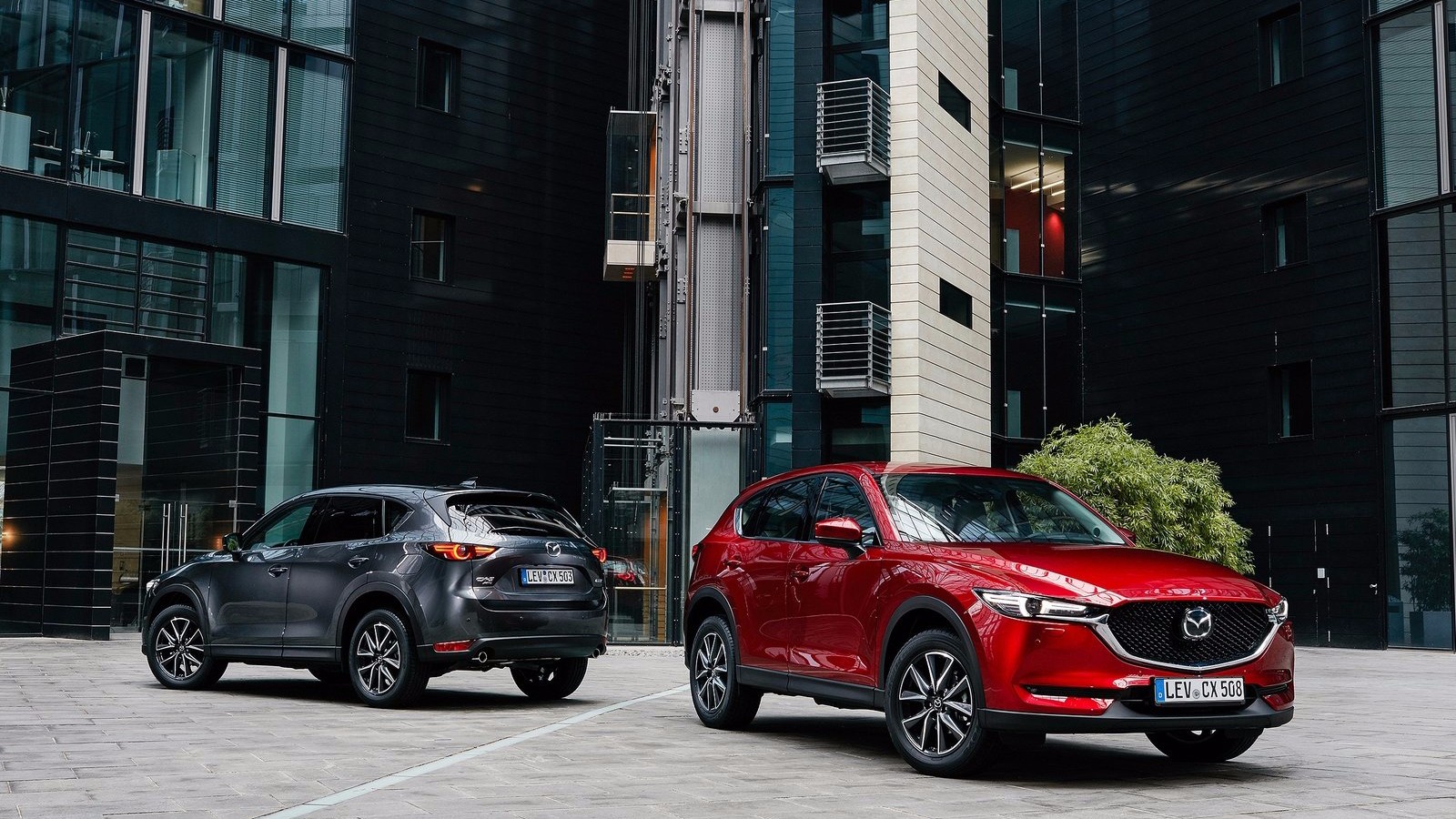 马自达创驰蓝天三元催化器爱亮灯清洗能解决亮灯问题吗