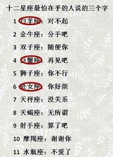 十二星座大世界四