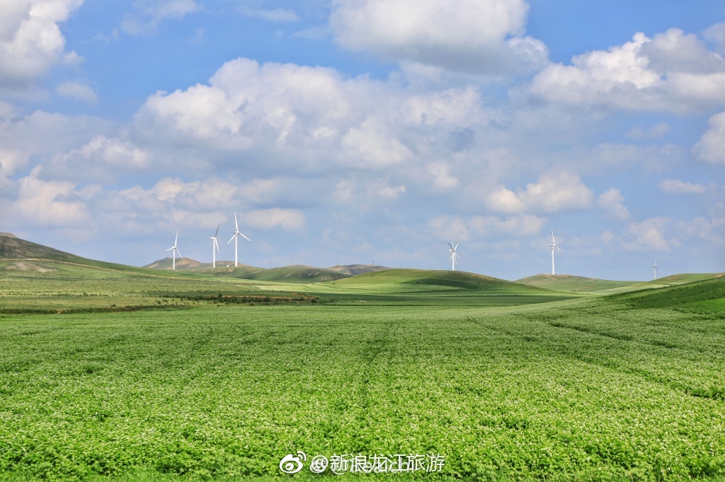康保县历史沿革 康保县基本概况