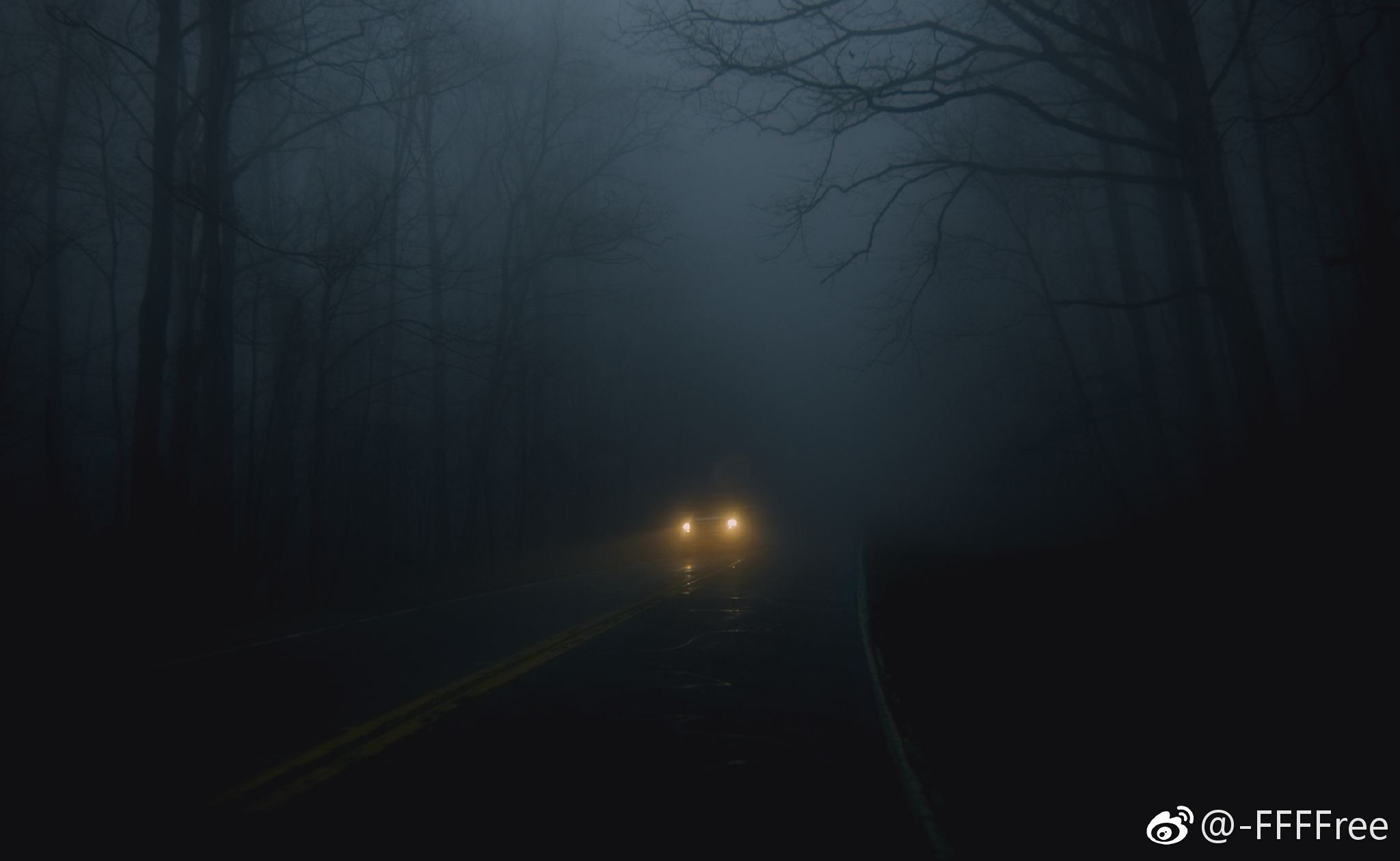 雾林 孤独主题 路灯 昏暗 车灯 朦胧高清可私戳 or f