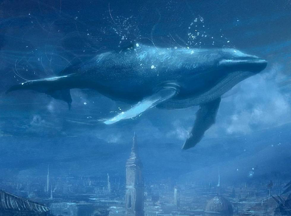 化身孤岛的鲸深海恐惧症患者的治愈系图集二