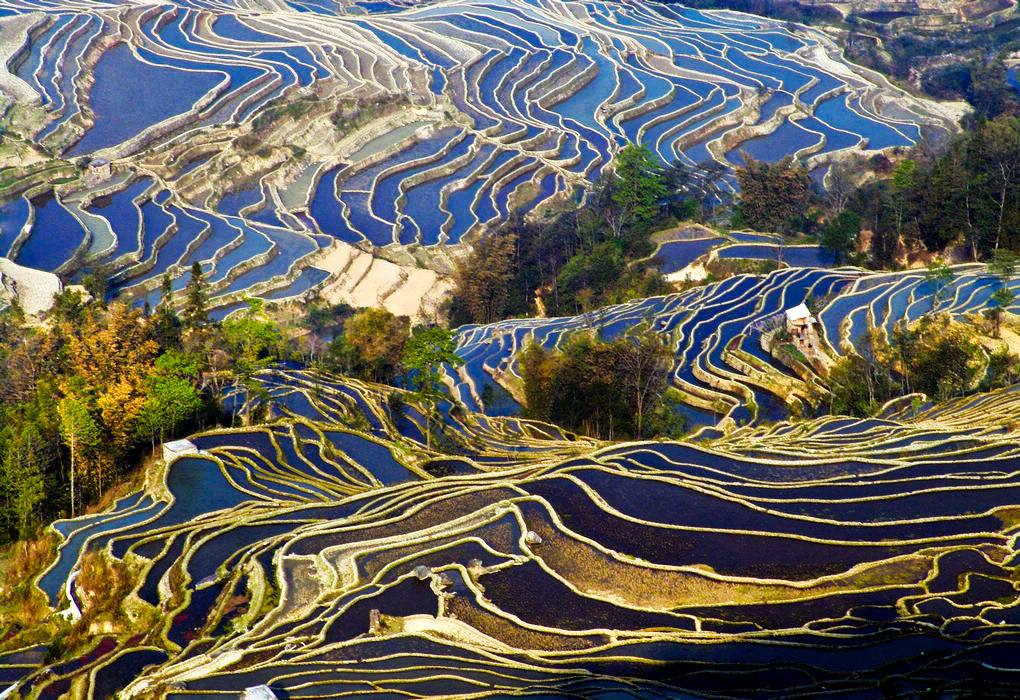 去过龙脊,看过元阳,你见过"彩虹梯田"吗?