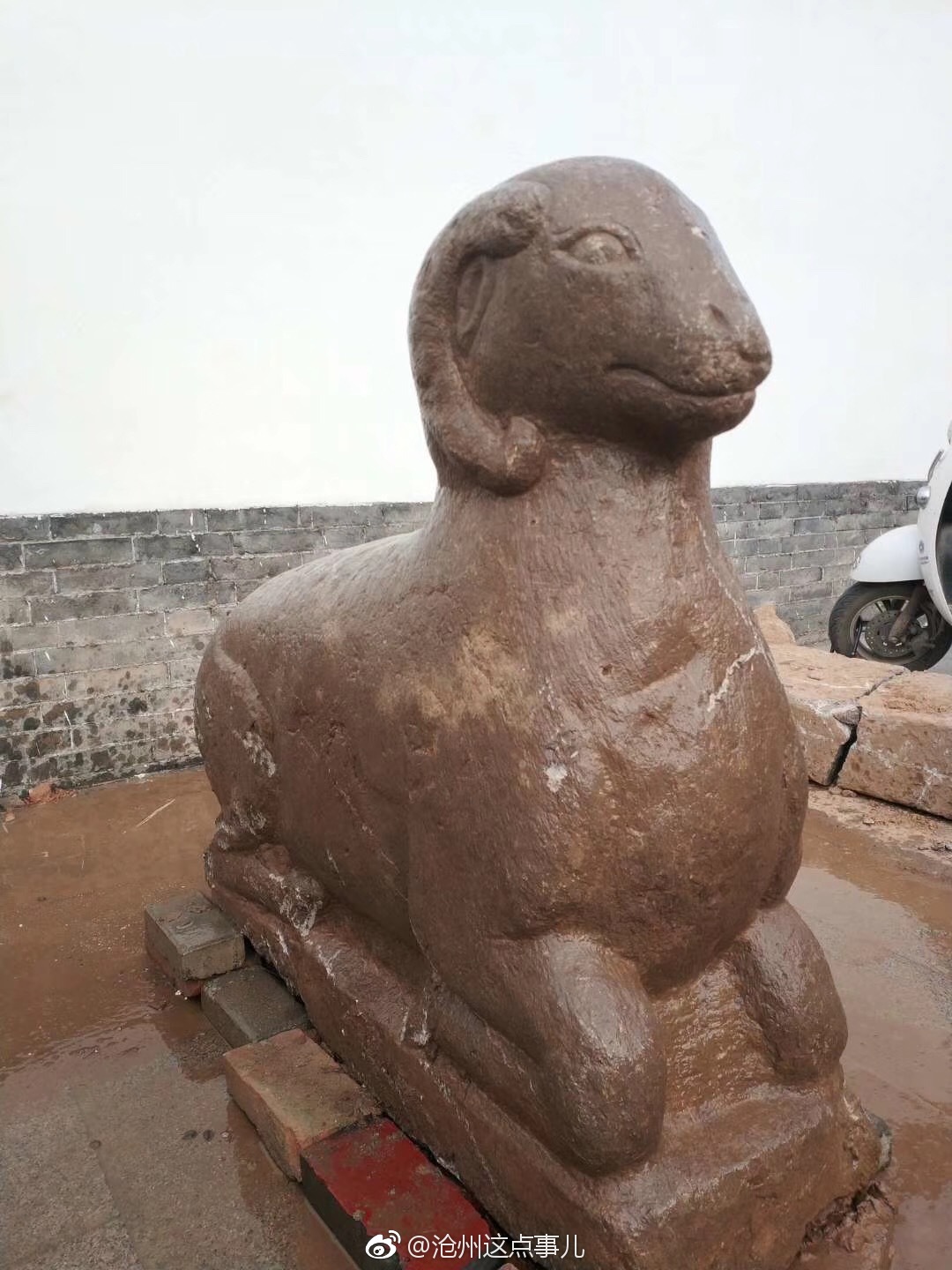 王希鲁地下挖出宝贝来啦运回文庙保管了石头羊儿萌萌哒