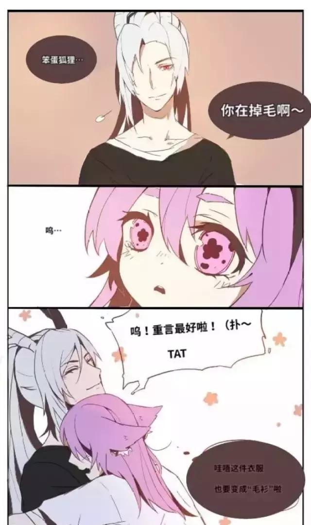 腐段子到了掉毛的季节信白夫夫