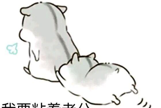 撩妹撩汉情话表情包请查收告白失败算我输