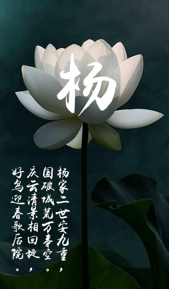 最美手机姓氏壁纸你的姓氏这里有吗