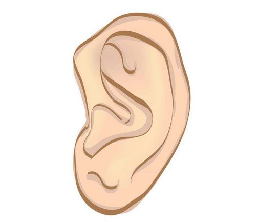 发之于内,出之于外,一旦肾脏受损,耳朵会有所"表现",提示你该好好养