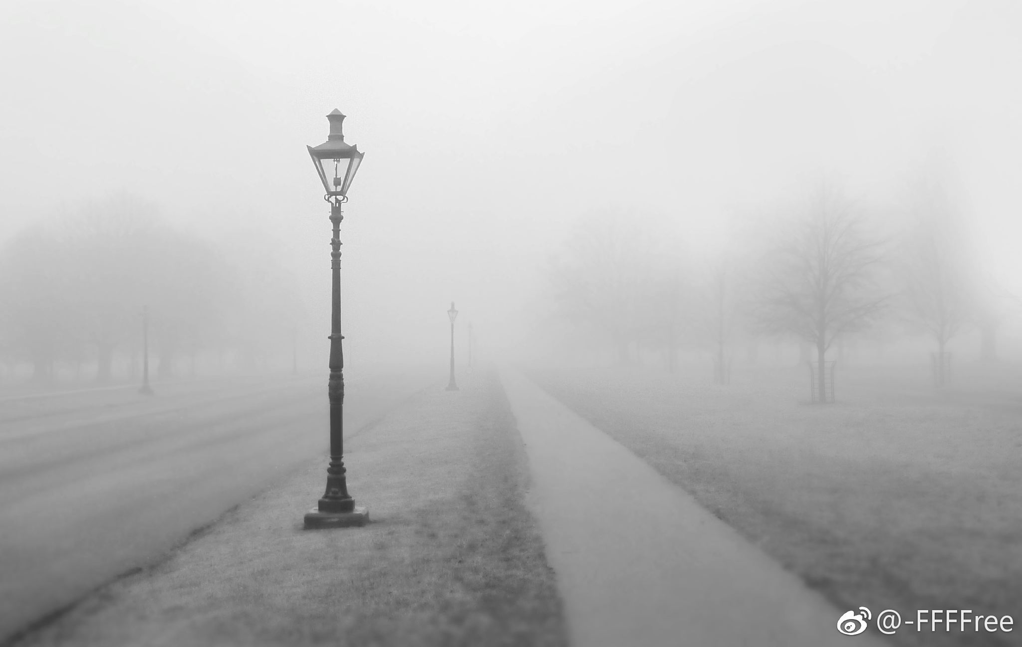 雾林 孤独主题 路灯 昏暗 车灯 朦胧高清可私戳 or f