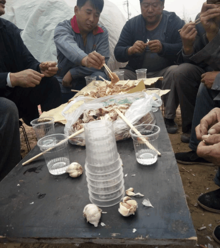 修桥工地的幸福午餐, 一群60岁的工人, 有酒有肉半斤酒后, 真解乏