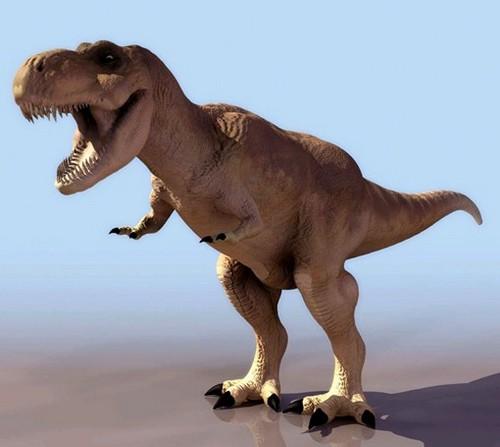 地球上10大人气最高的恐龙,翼龙第六,三角龙第四,霸王龙居榜首