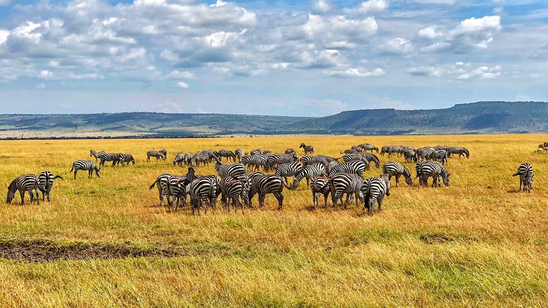 珍藏风景壁纸分享!非洲风光如此美丽!|壁纸|美景|风光_新浪新闻