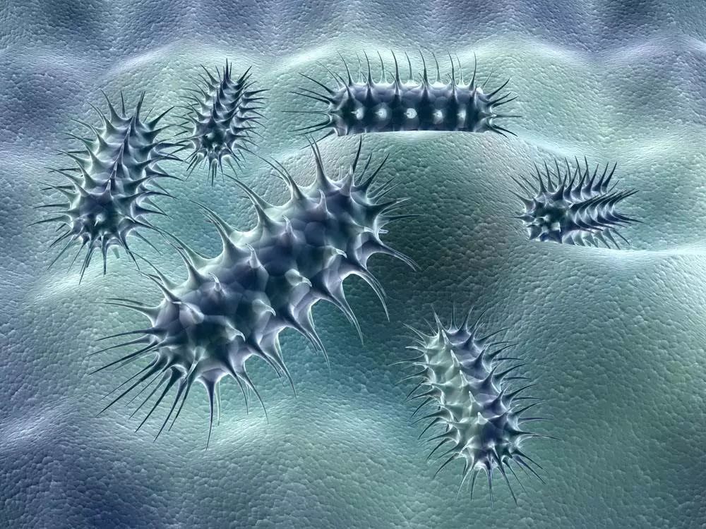 新研究表明:肠道里的细菌会产生电流!