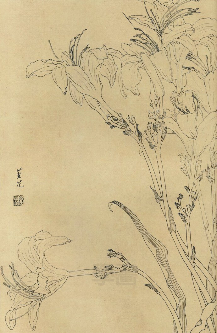 線描百花圖譜