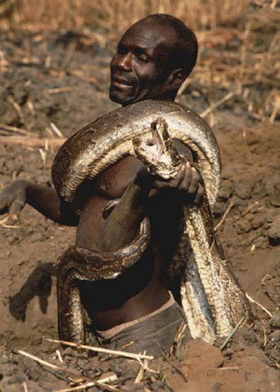 这里的人以蛇皮当衣服, 与蛇同吃喝, 和蛇住一起