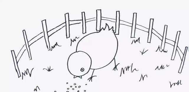 简笔画之"觅食的小鸡"