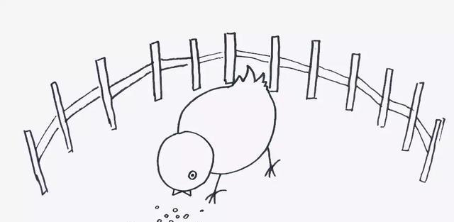 简笔画之"觅食的小鸡"