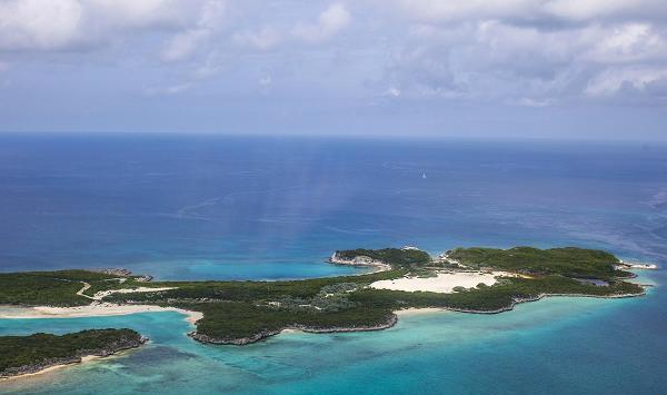 去巴哈马,和猪共享一座私人岛屿
