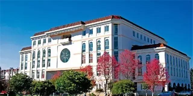 长沙品茶地图:一叶知城的千年风雅与市井烟火