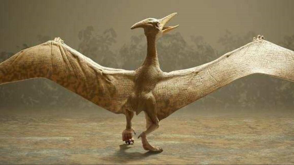 风神翼龙有多厉害?身高10米翅展12米,霸王龙只是它的食物之一