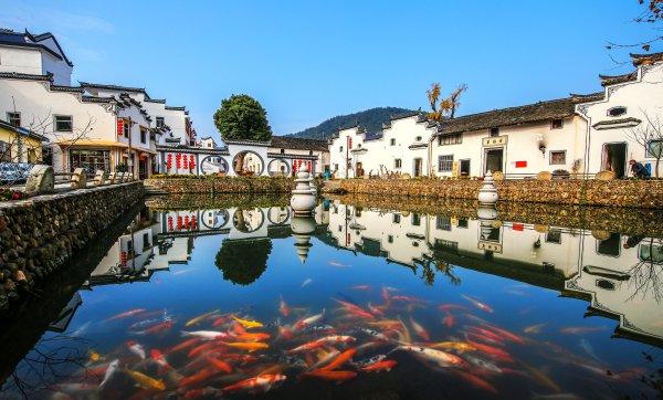 从"上访村"到诗人小镇 浦江上河村凝聚人心迎巨变