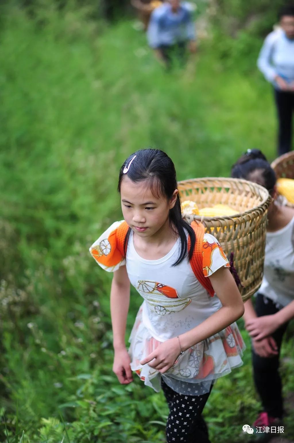 江津大山里的孩子这样过暑假,城里的家长都看看……|江津|姐妹俩|姐妹