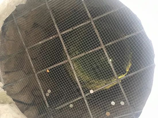 杭州净慈寺:寻找运木古井的传说