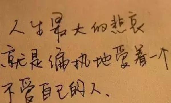 得到了就不会珍惜不要等到失去了我的时候才懂得我不爱了!