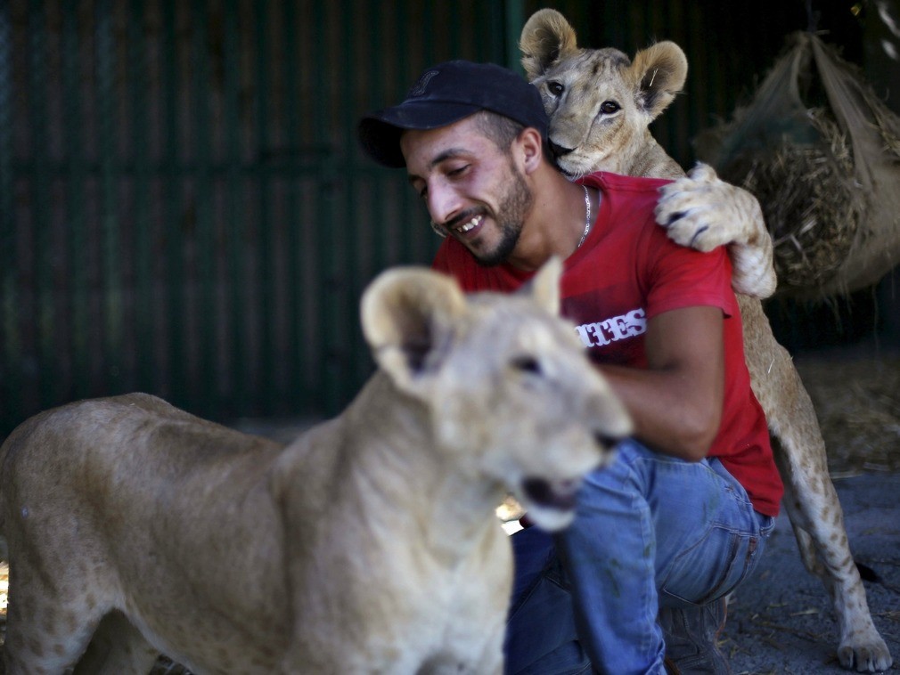 15张在救援中人与动物感人的瞬间照