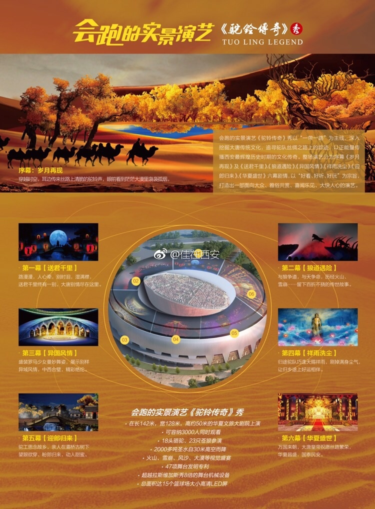 还有西域美女!|骆驼|驼铃传奇|西安_新浪新闻