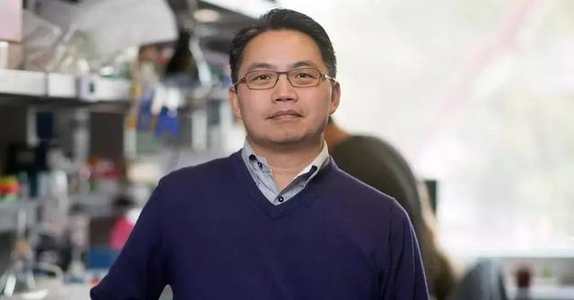 华人的骄傲!2019年"科学突破奖"揭晓|祁晓亮|突破奖|休斯_新浪网