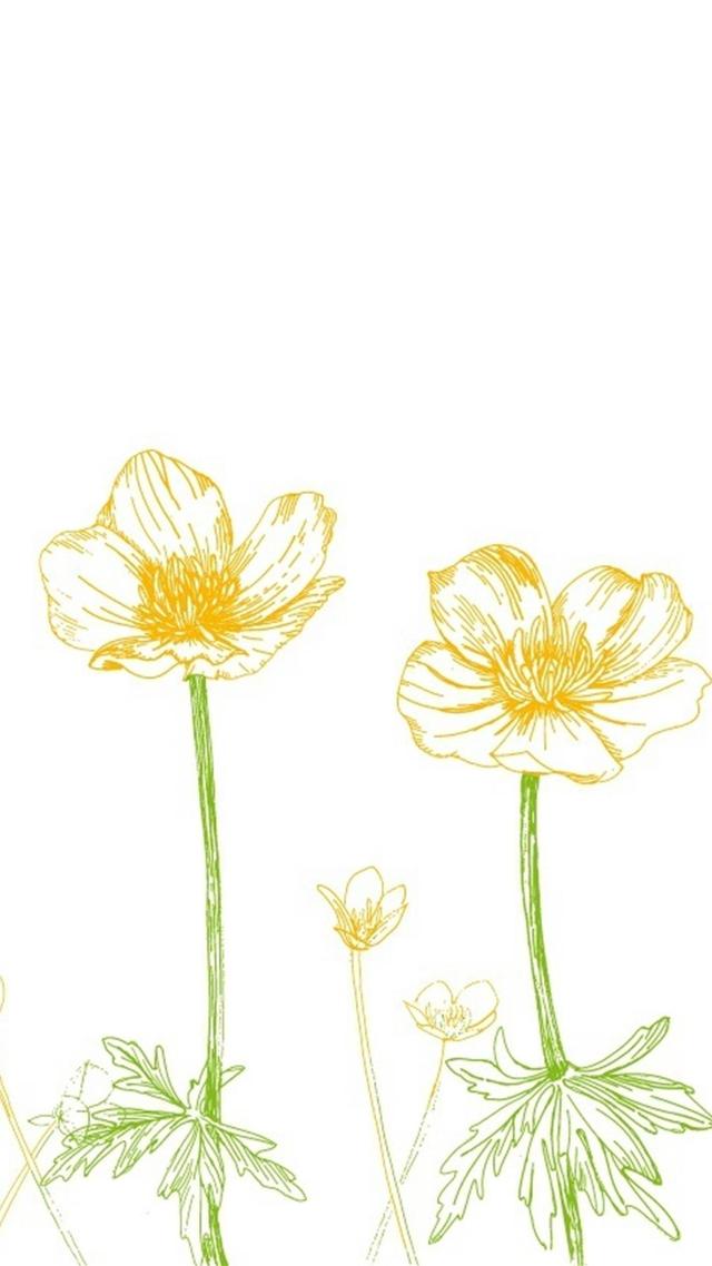 动漫壁纸——小清新手绘插画