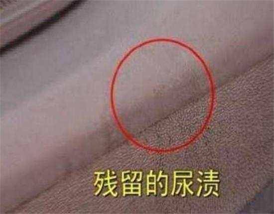 男子开滴滴拉客,当晚来了一名女子,第二天看到这一幕他崩溃了