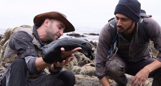 男子在沙滩上发现一个奇怪的东西以为是蜗牛走近一看让人吃惊