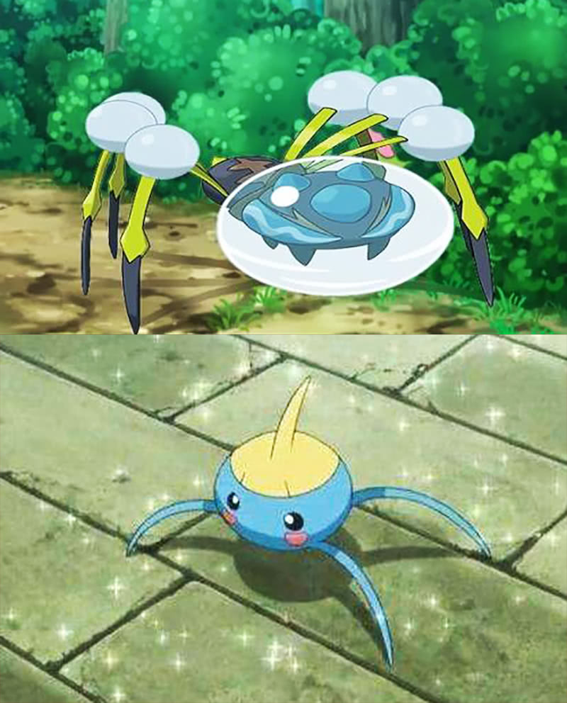 神奇宝贝见面就干架的宝可梦五行相克性格不合一生的死对头