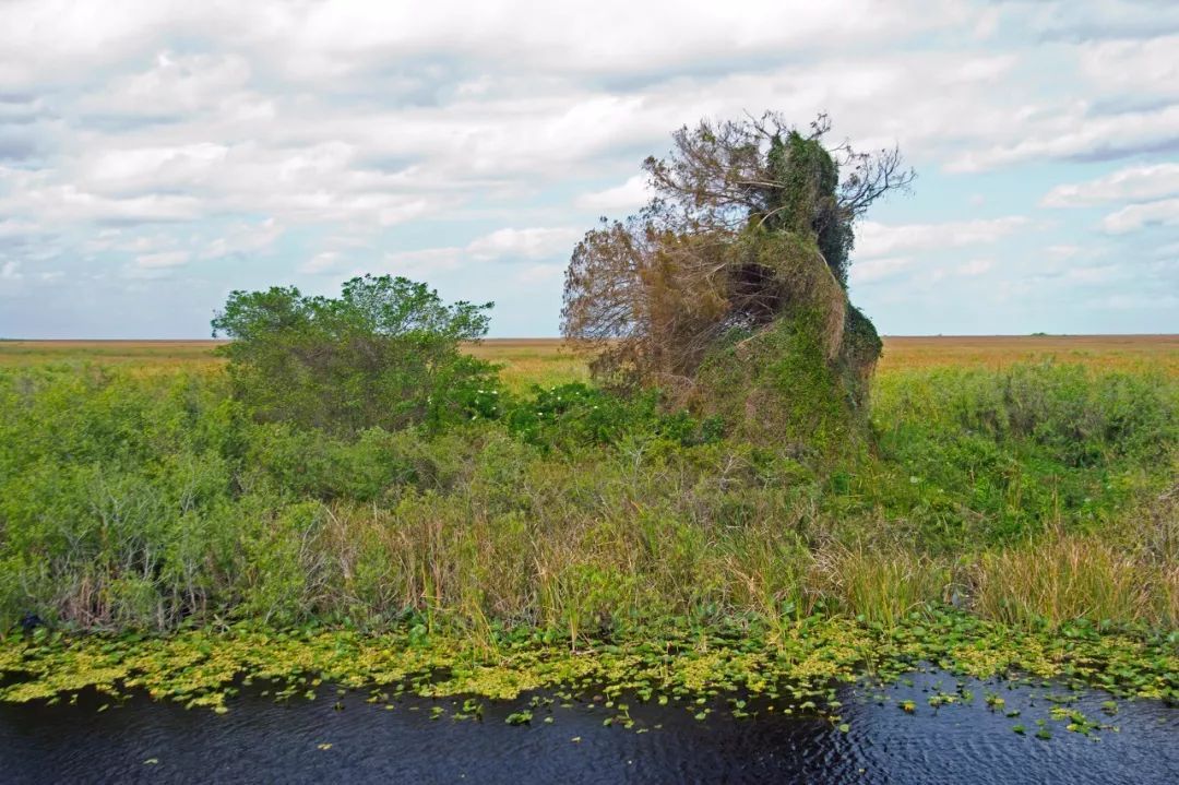 大沼泽地20其中是否有你的梦想目的地呢?